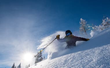 Banff Powder Skiing